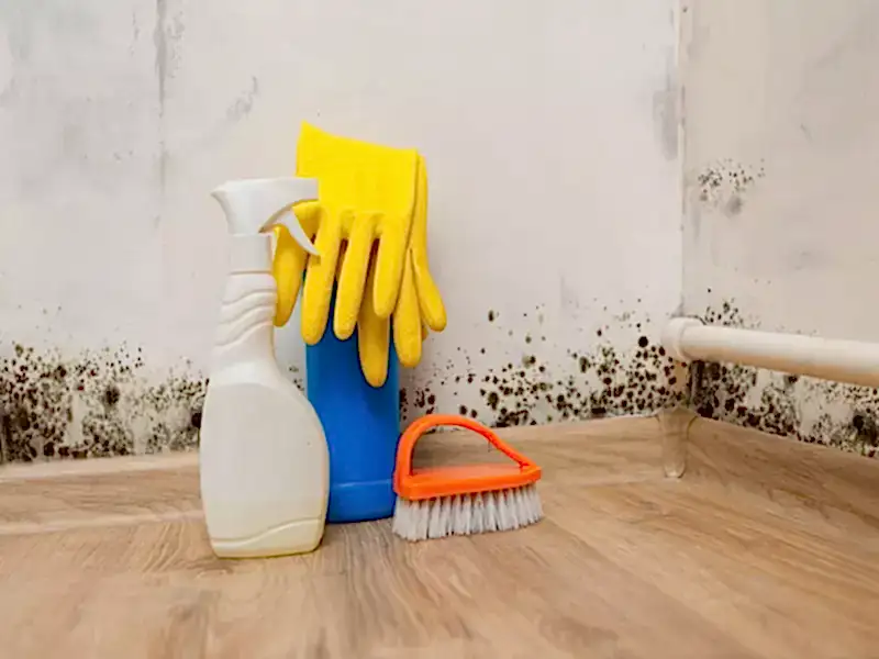 İç Cephe Temizliği: Adım Adım Kılavuz